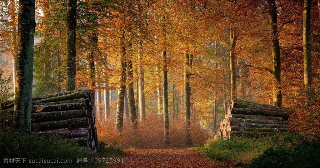 风景图片 风景 桌面壁纸 自然景观 自然风景 壁纸图片 壁纸 山水风景 山水画图片 河流 唯美图片 风景画 风景壁纸 唯美壁纸 唯美素材 背景图片 背景素材 蓝天白云 大自然 高清风景图片 拍摄 生态 绿叶 花 草 植物 植物特写 拍摄素材