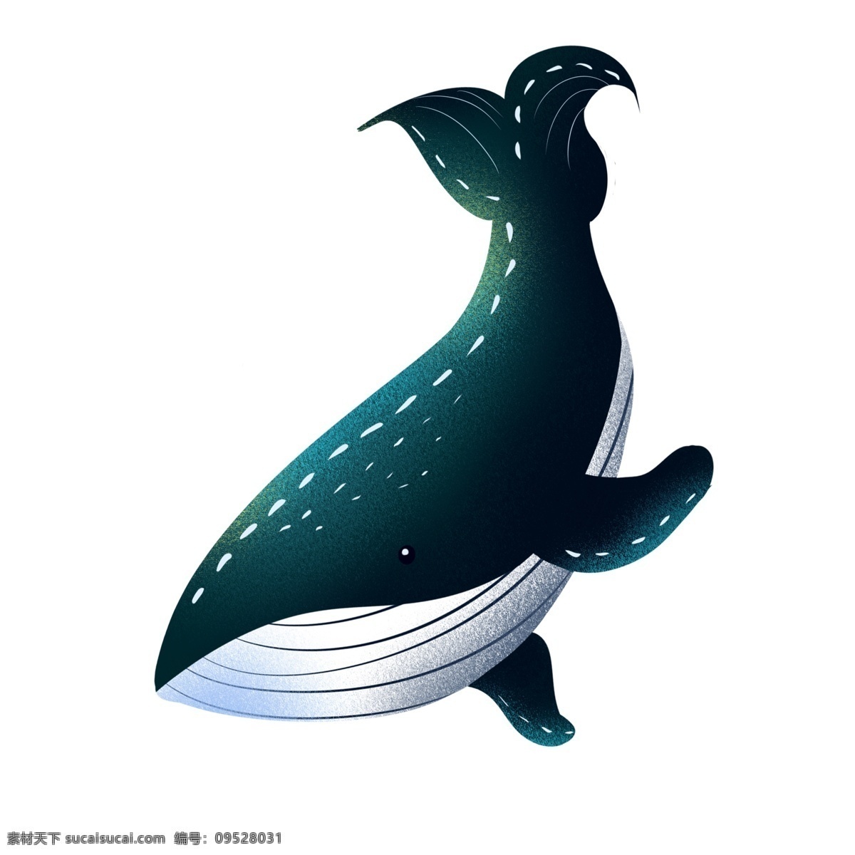卡通 小 清新 一头 鲸鱼 插画 唯美 海洋生物 动物