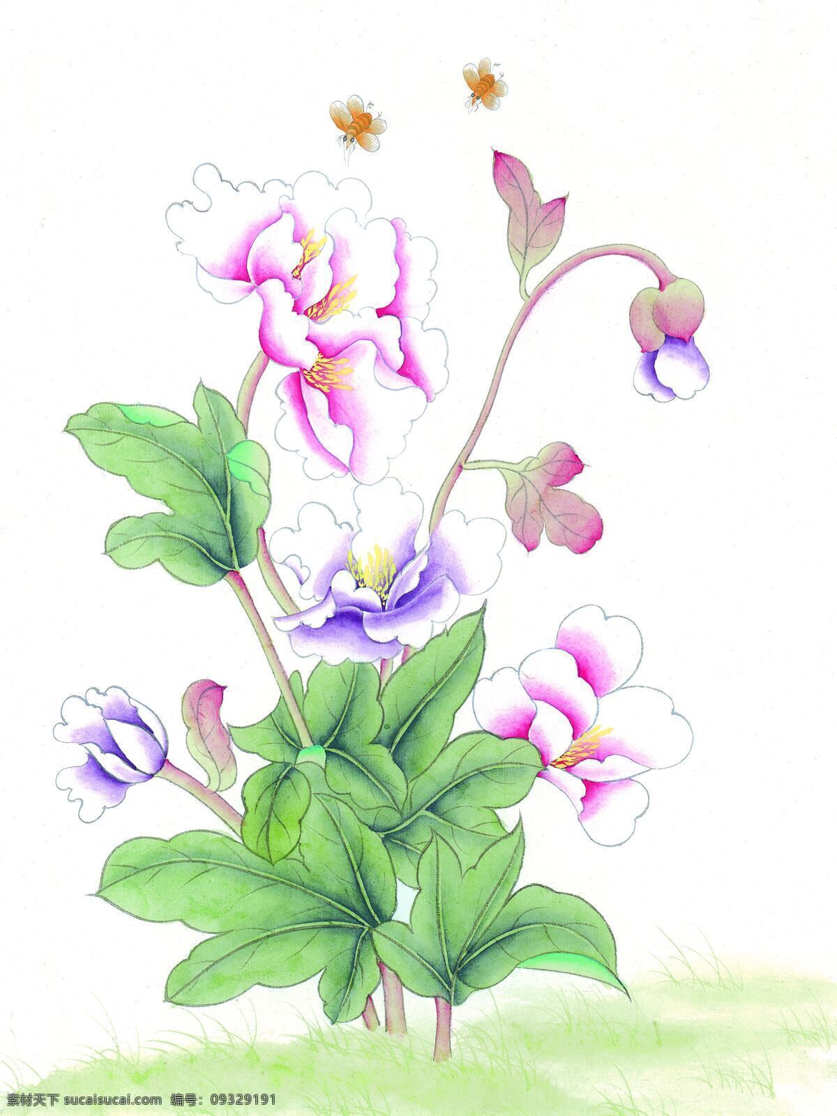 水墨 花卉 植物 水墨花卉植物 花鸟画 水墨画 名画 国画 中国画 绘画艺术 装饰画 挂画 书画文字 文化艺术