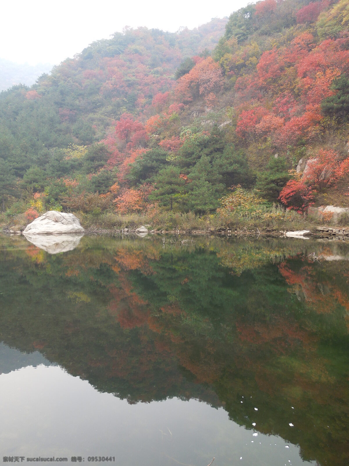 映山红 卧龙谷 红叶 山水一色 清秀 山水风景 自然景观 灰色