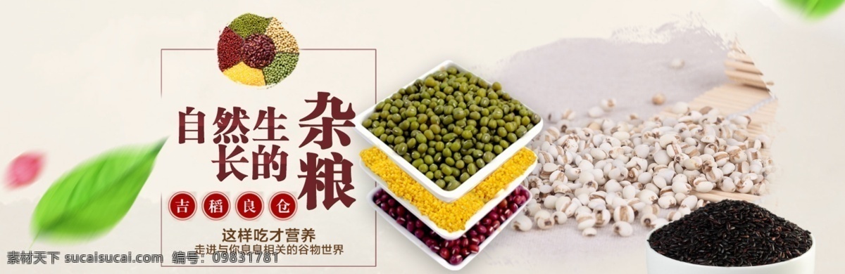 红豆 薏米 杂粮海报 来自长白山 东北有机杂粮 红豆薏米 绿豆 黑米 有机黄小米 白色