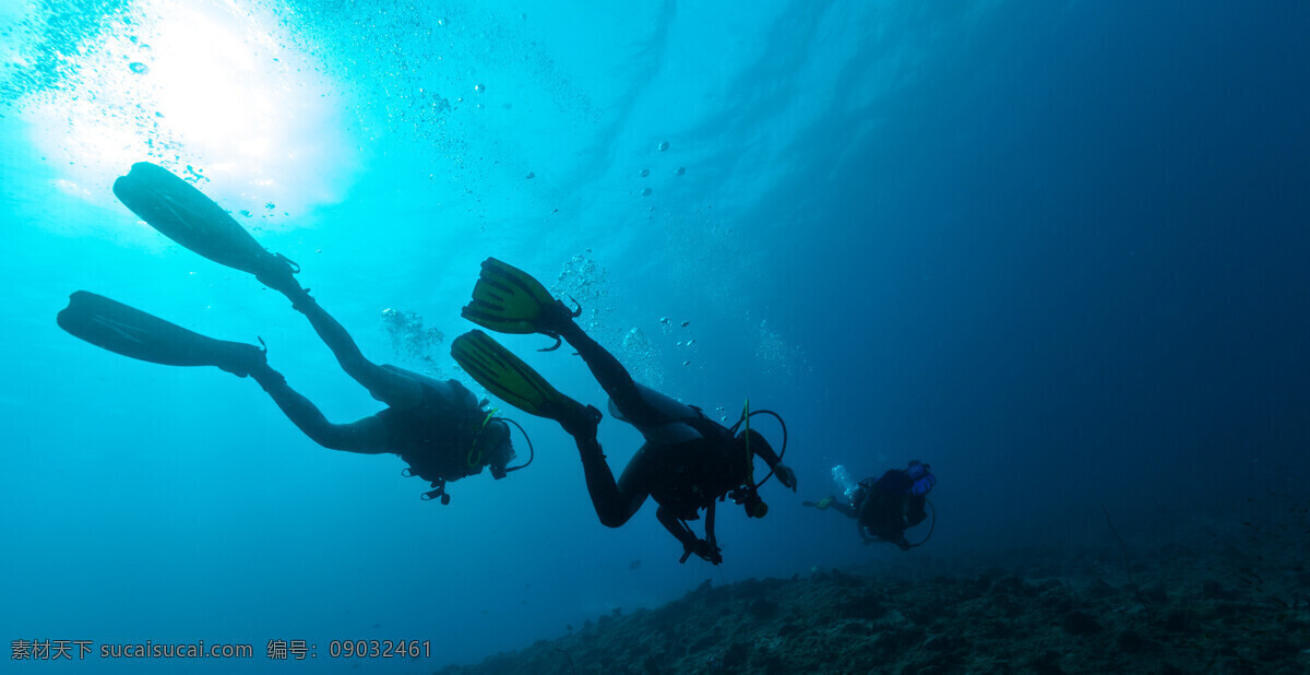 潜水运动 潜水员潜水 潜水员 海洋生物 珊瑚 潜水镜 海底世界 海洋 海洋世界 大海 海底 深海 潜水 海鱼 商务 人物 科技 运动 文化艺术 体育运动