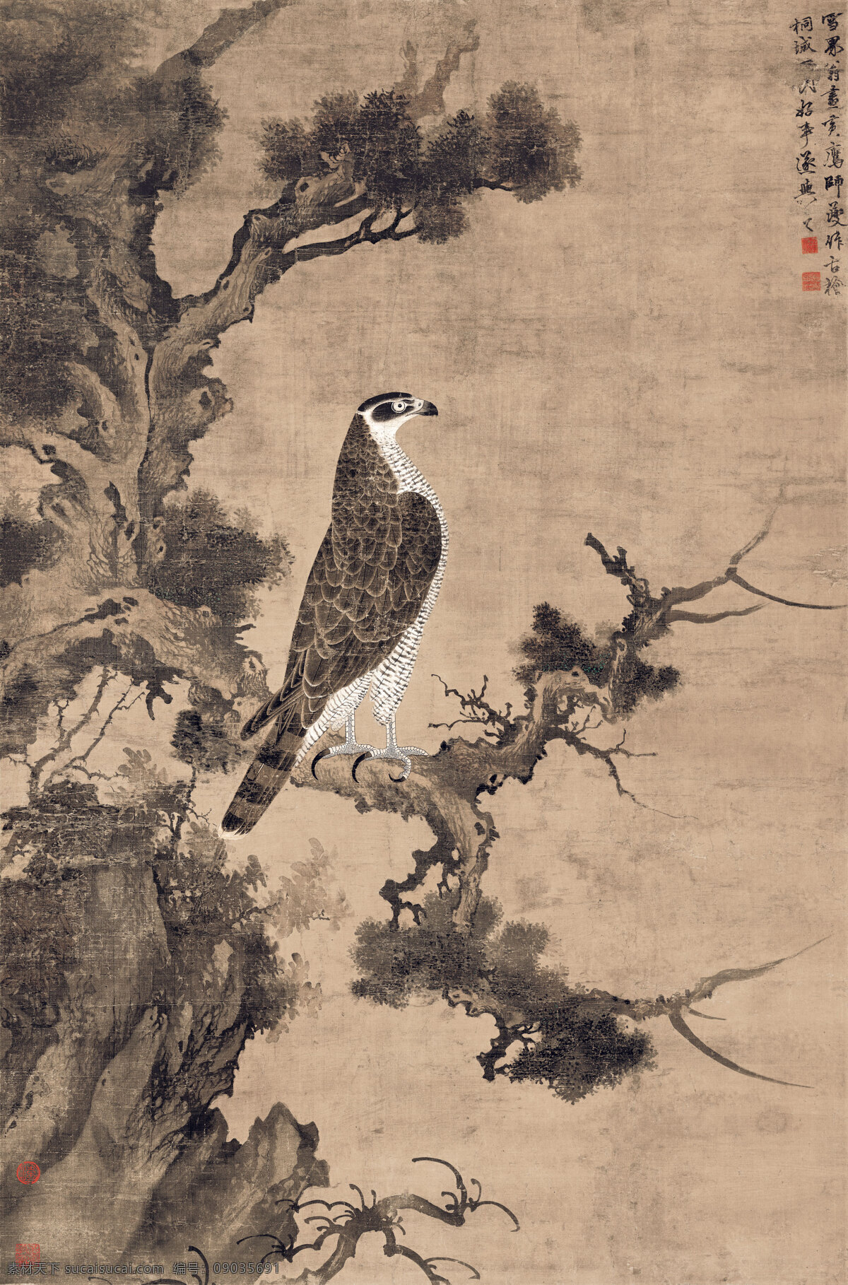 元 张舜咨 雪 界 翁 柏 鹰 图 轴 古画 名画 花鸟画 中国画 文化艺术 绘画书法