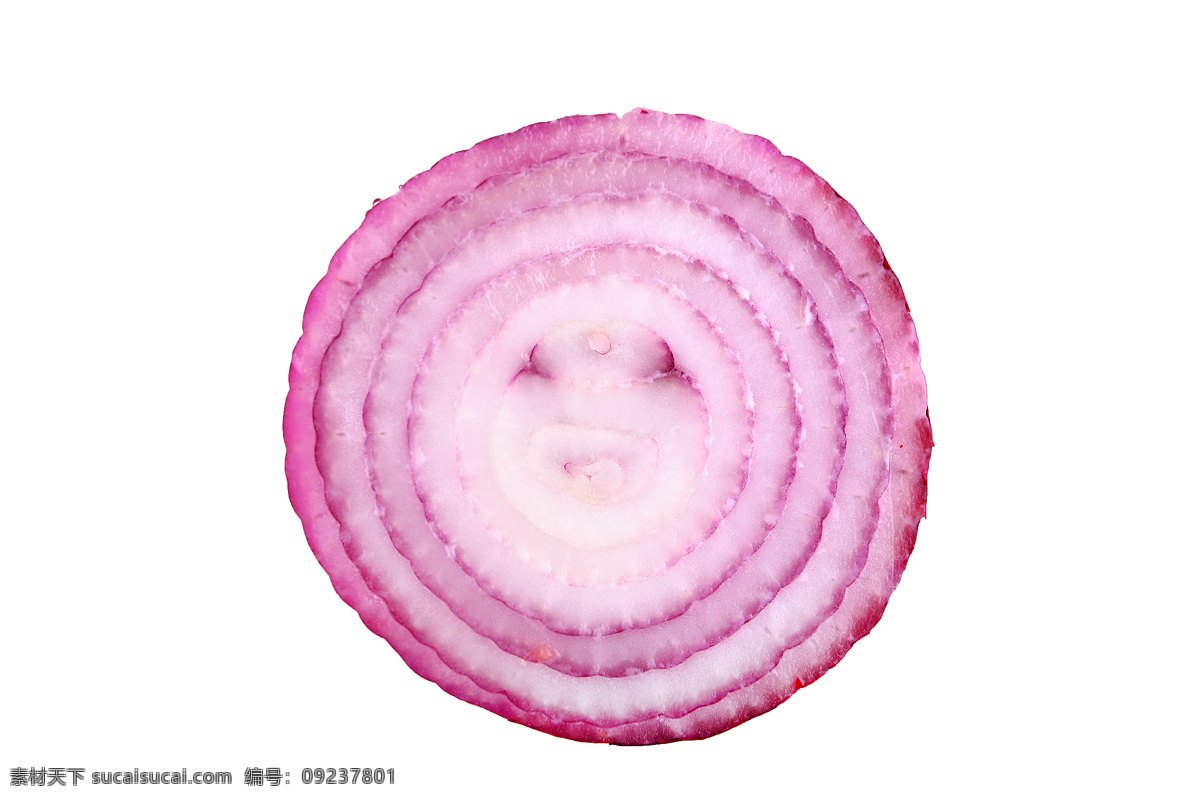 洋葱横切面 洋葱 蔬菜 横切面 横截面 紫色洋葱 餐饮美食