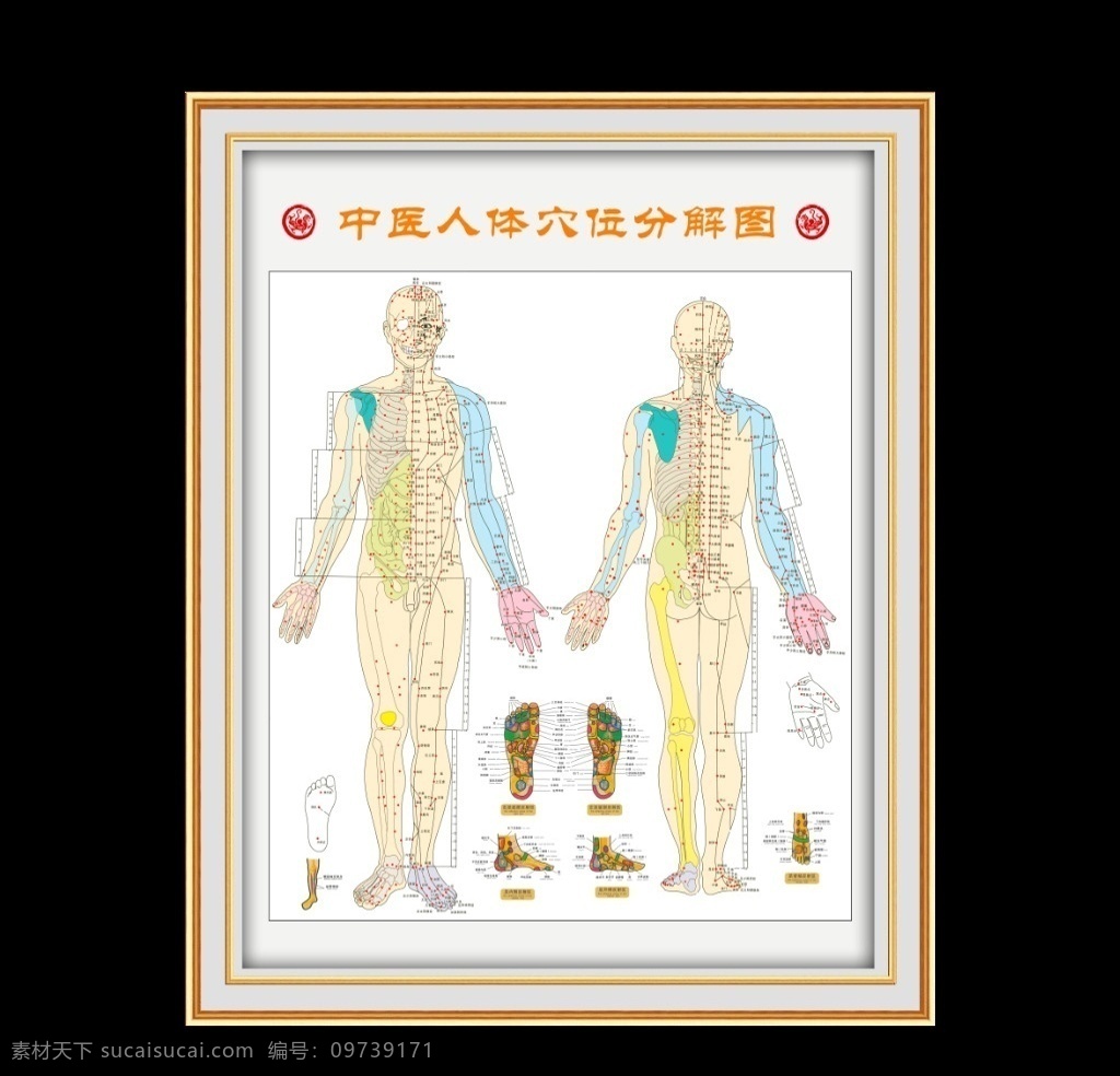 中医 人体 穴位 图 中华医学 国学 人体解剖 人体穴位 穴位分布 全身穴位分布 足底穴位 穴位映射 健康图谱 医院挂画 诊所挂图 古典医学 中国古医学 分层