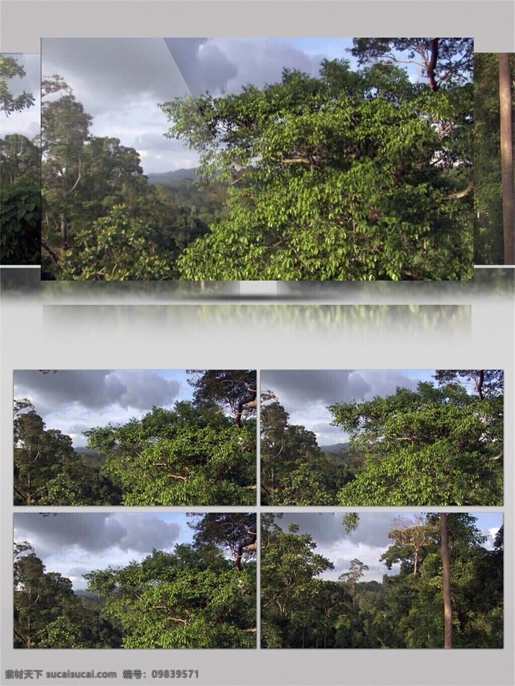祖国 山河 绿水青山 视频 音效 绿色 植物 蓝天 视频素材 环保 自然风景 视频音效 原生态