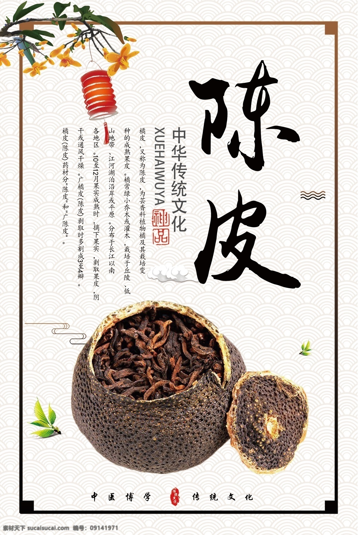 陈皮图片 中药文化 中药 中药材 中药展板 中药传统文化 中医中药 中医药 药材