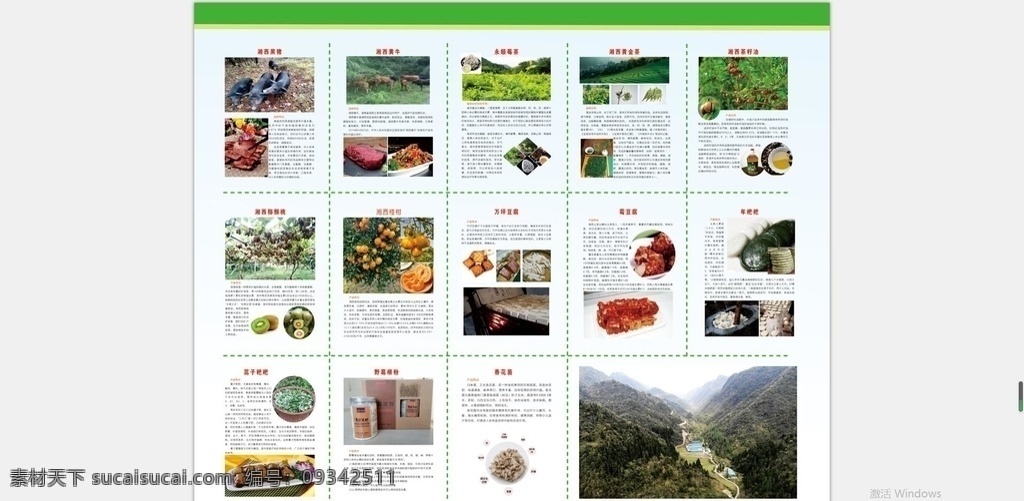 农产品 宣传手册 农场宣传手册 湘西腊肉 万坪豆腐 山茶油 霉茶
