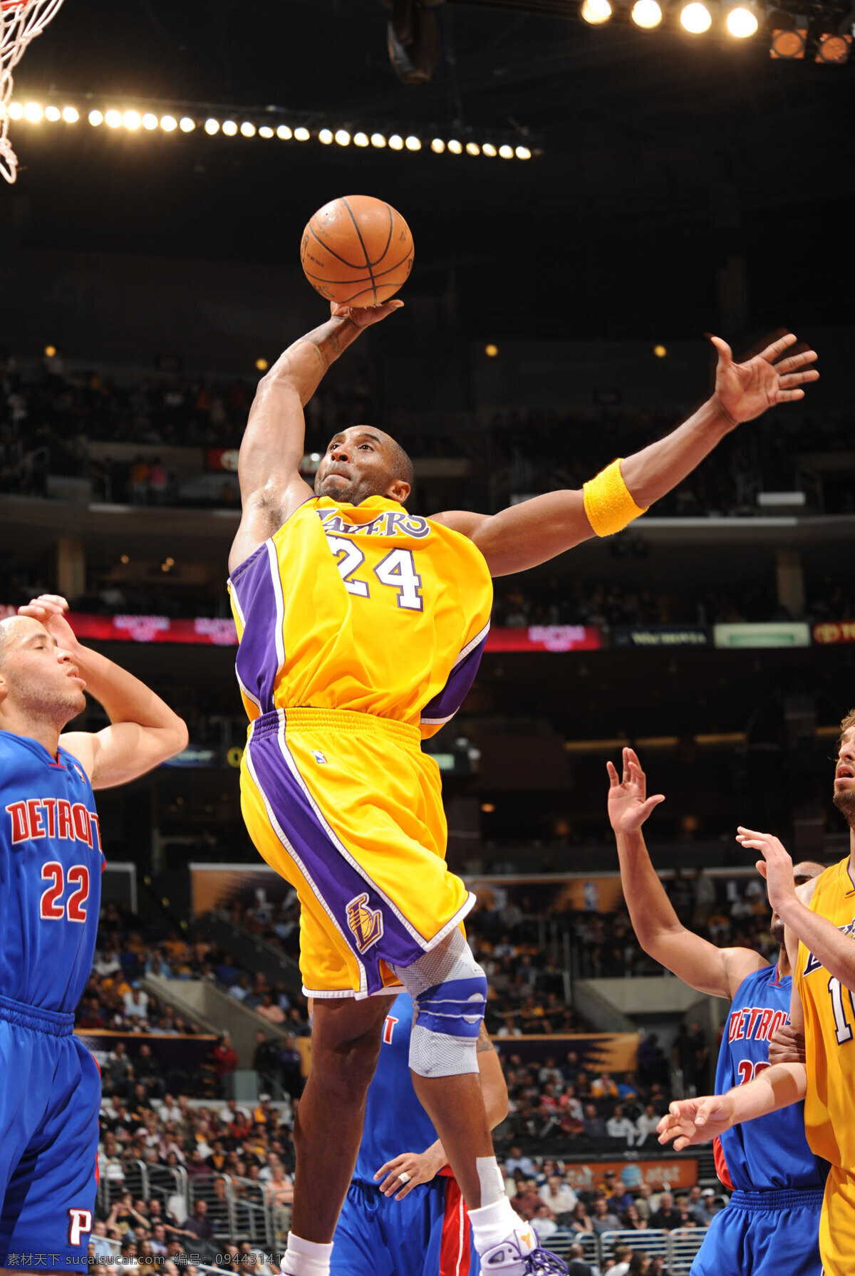 科比扣篮 科比 kobe bryant nba 篮球 湖人 黑曼巴 明星偶像 人物图库