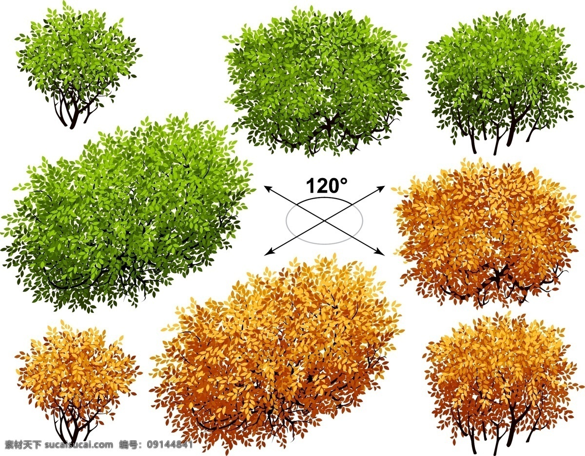 矮 树丛 矢量 卡通 秋季 夏季 树木 植物 高清图片