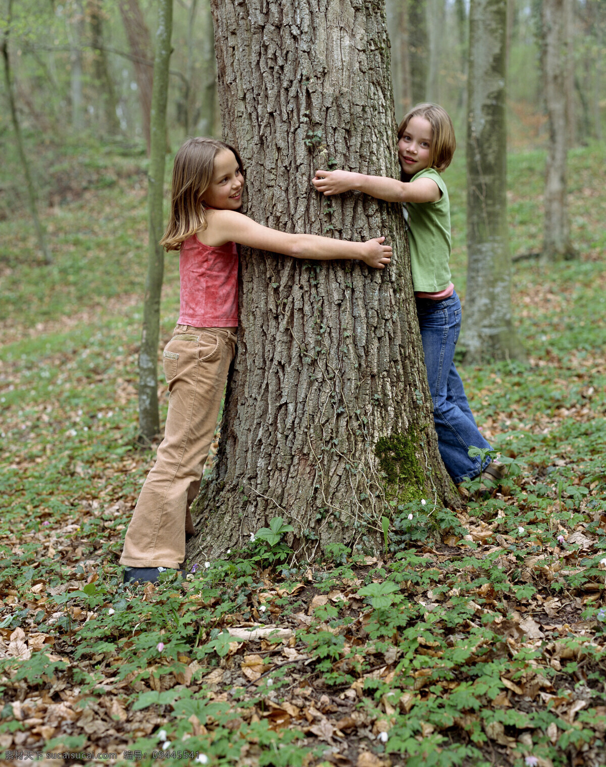 抱 大树 小女孩 户外儿童 户外活动 外国儿童 可爱 小孩儿 孩子 小朋友 郊游 树林 森林 抱着 树干 儿童图片 人物图片