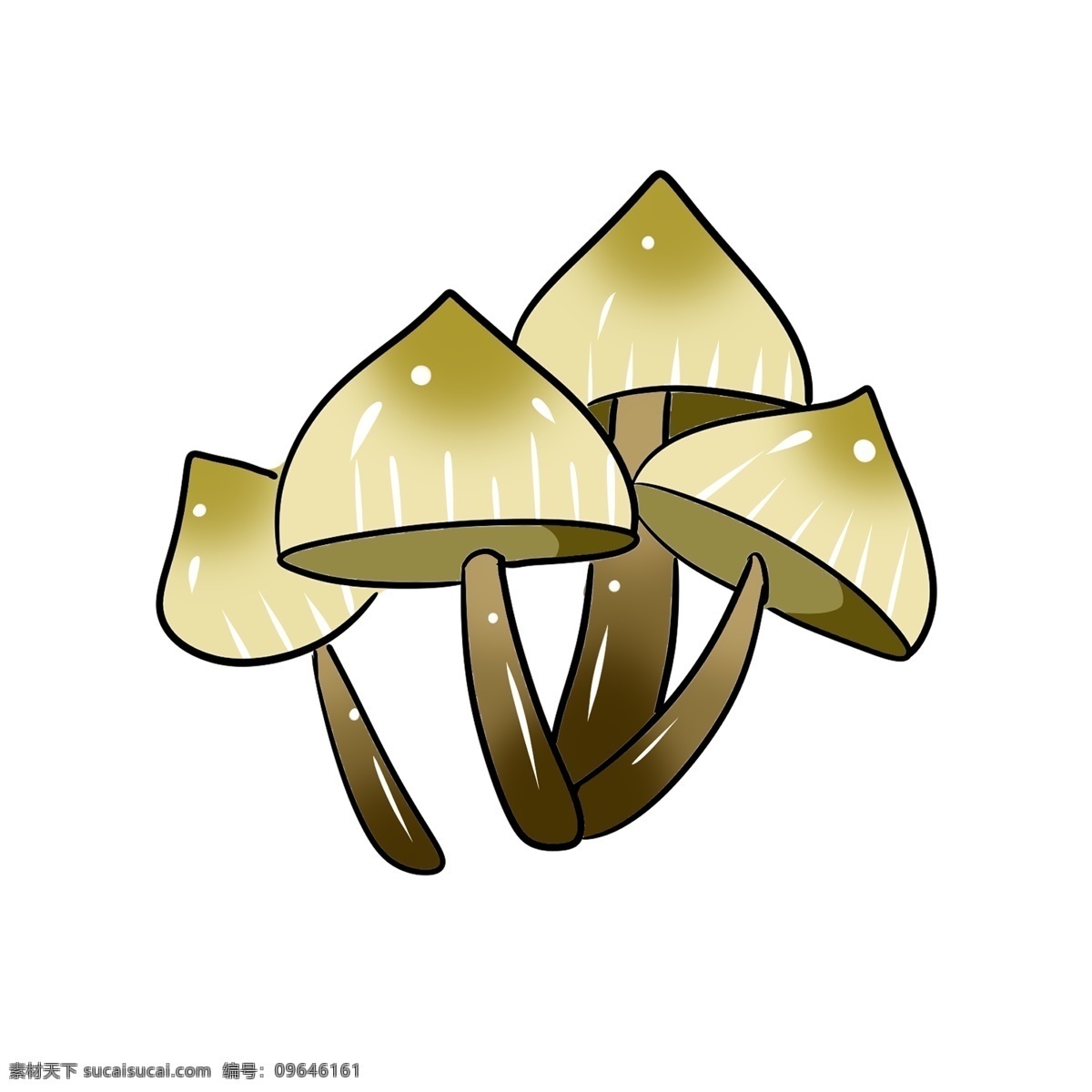 白色 菌类 蘑菇 插图 可爱的蘑菇 白色蘑菇 菌类蘑菇 漂亮的蘑菇 蔬菜蘑菇 农作物蘑菇 尖尖的蘑菇