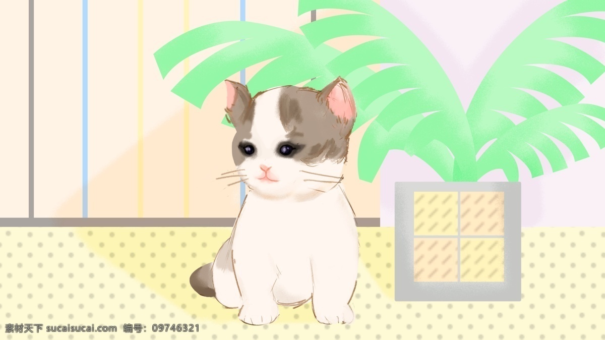 萌宠布偶猫 萌宠 喵星人 布偶猫 猫咪 可爱萌物