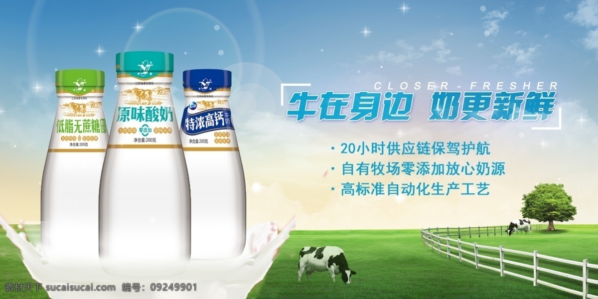 新鲜 牛奶 横幅 草地 奶牛 蓝天 大树