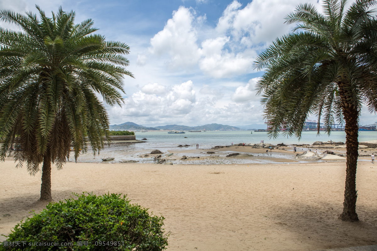厦门风景 厦门 福建 沙滩 海水 蓝天 树 旅游摄影 国内旅游