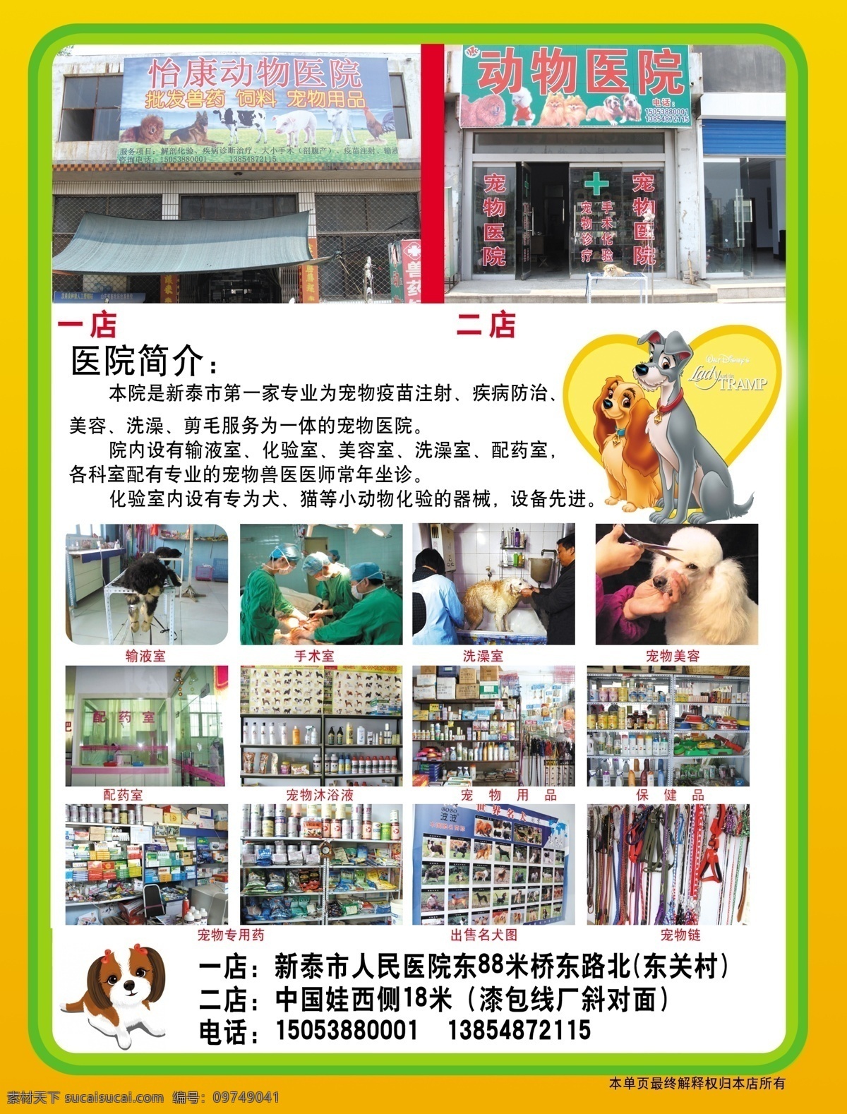 爱心 宠物 狗 广告设计模板 健康 猫 小动物 医院 展板 模板下载 医院展板 展板模板 源文件 其他展板设计