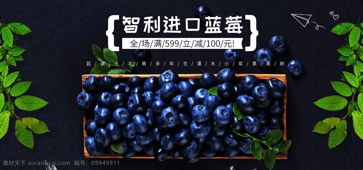 新鲜 蓝莓 清新 生鲜 水果 促销 电商 淘宝 主 图 首 焦 主图 bn 首焦
