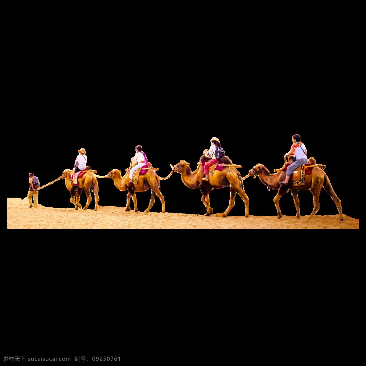 骑 骆驼 人 透明 元素 一群骆驼 一群人骑骆驼 沙漠 一排 排队 骑着骆驼的人
