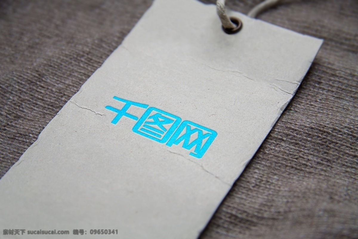 服装 吊牌 logo 样机 服装样机