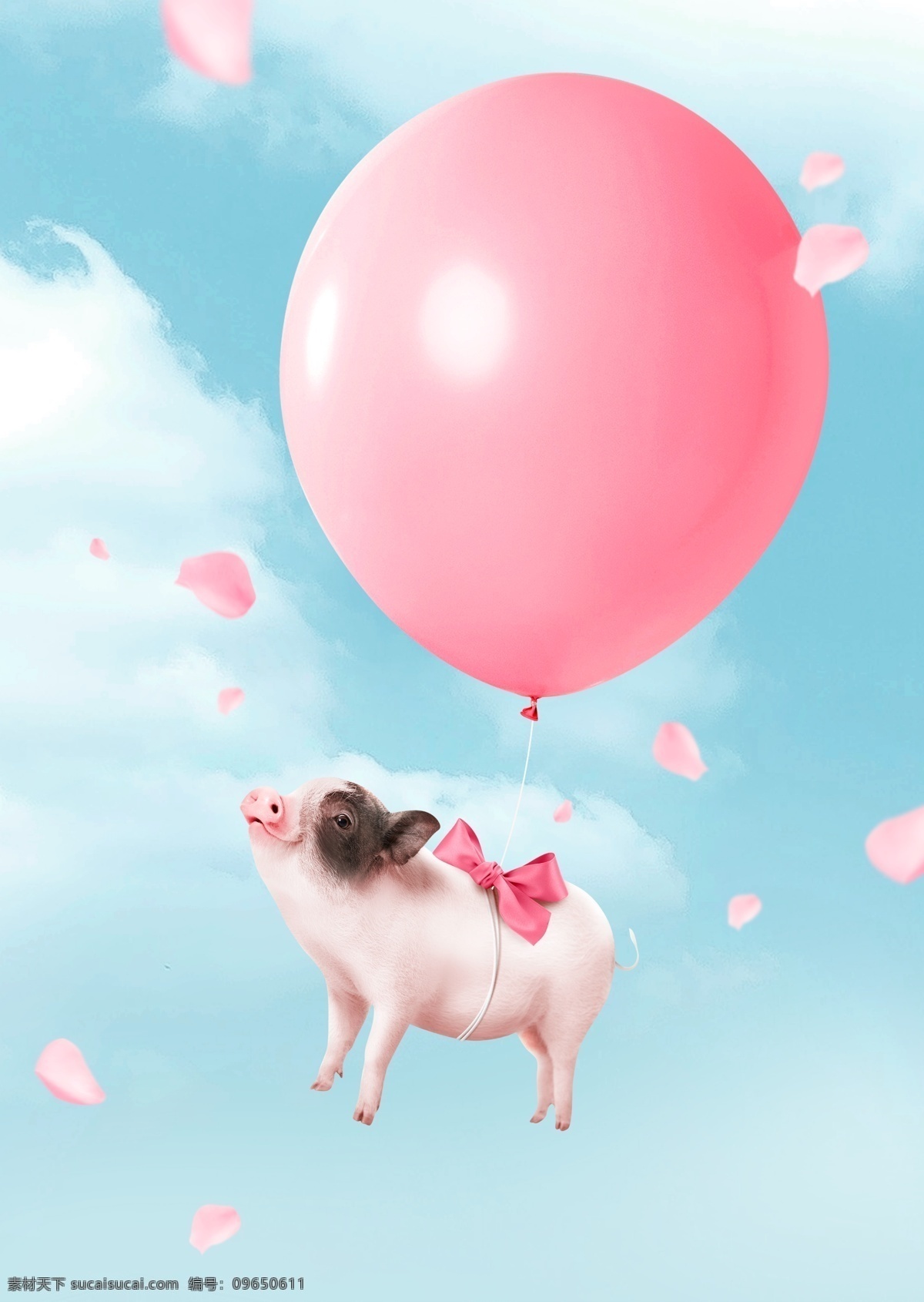 粉色 气球 小 猪 背景 花瓣 唯美 创意 海报背景 背景素材 乳猪 猪年背景 猪年素材 背景设计 猪年贺卡 贺卡背景 节日贺卡