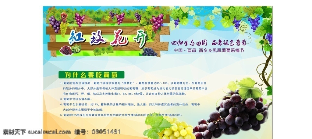 葡萄种植技术 葡萄周期 葡萄 葡萄种 葡萄作用 招贴设计