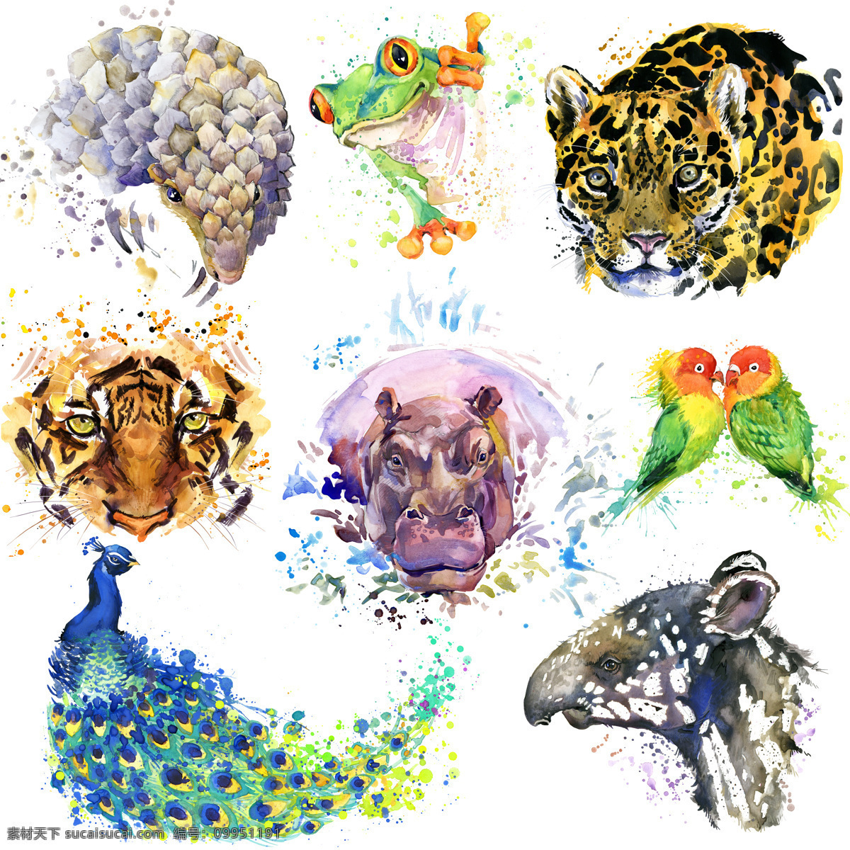 动物 头像 水彩画 高清 动物头像 水彩 艺术 高清图片