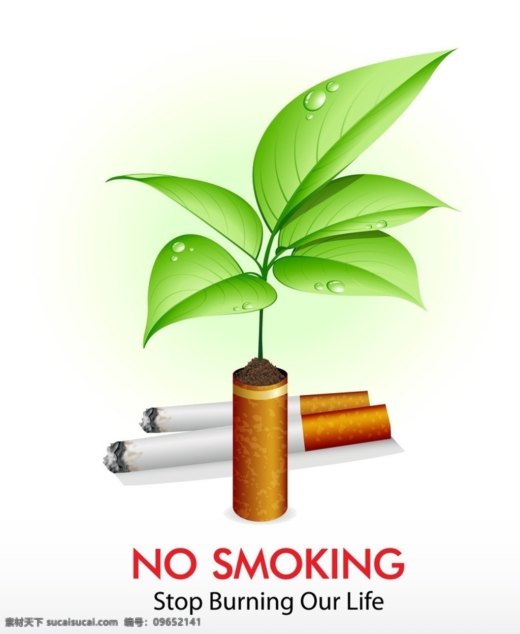 禁止吸烟 世界无烟日 香烟 吸烟 抽烟 绿叶 水珠 香烟广告 香烟创意 广告 香烟教育 手绘 矢量