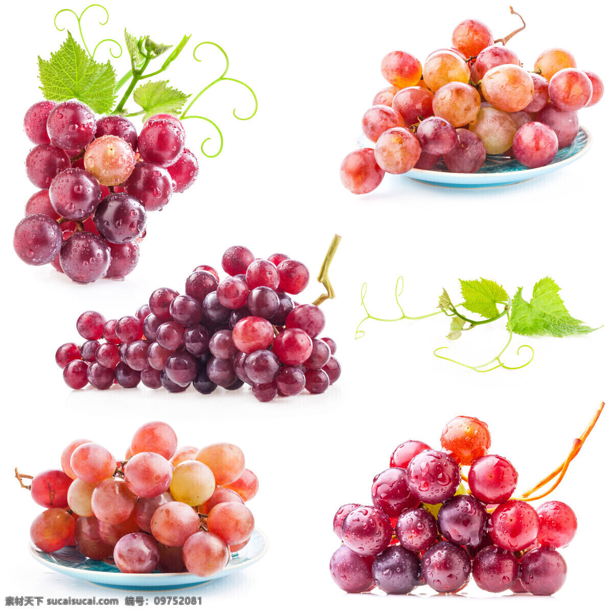 新鲜 葡萄 提子 新鲜水果 水果摄影 水果蔬菜 蔬菜图片 餐饮美食