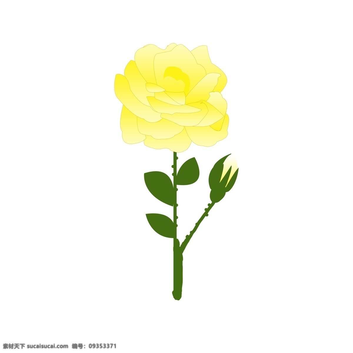 玫瑰 黄 香槟 玫瑰花 元素 手绘玫瑰 香槟玫瑰 黄玫瑰 玫瑰枝叶