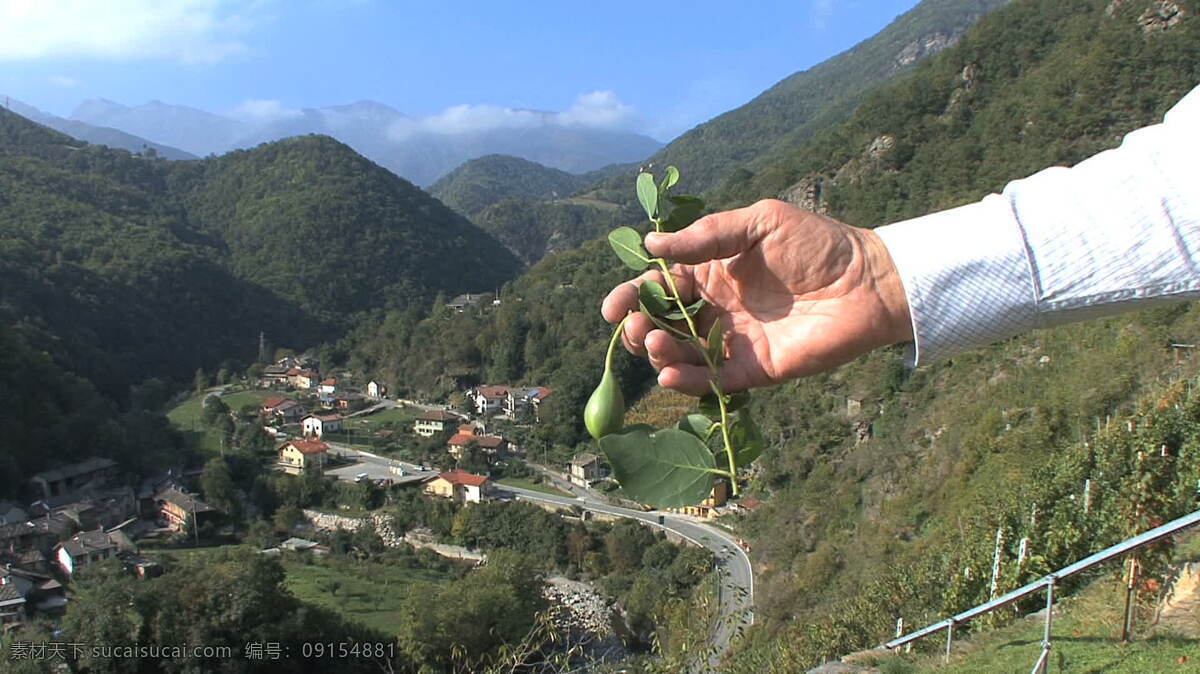 意大利 山前 跳跃 花 股票 录像 葡萄园 视频免费下载 皮埃蒙特 一方面 保持 其他视频