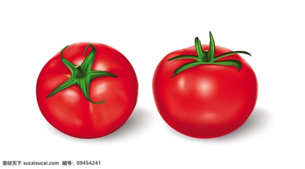 向量 写实 风格 绿 茎 红 番茄 设置 说明 食品 图标 夏天 树叶 绿色 自然 红色 水果 健康 植物 有机 天然 农业 蔬菜 插图 食品图标 健康食品
