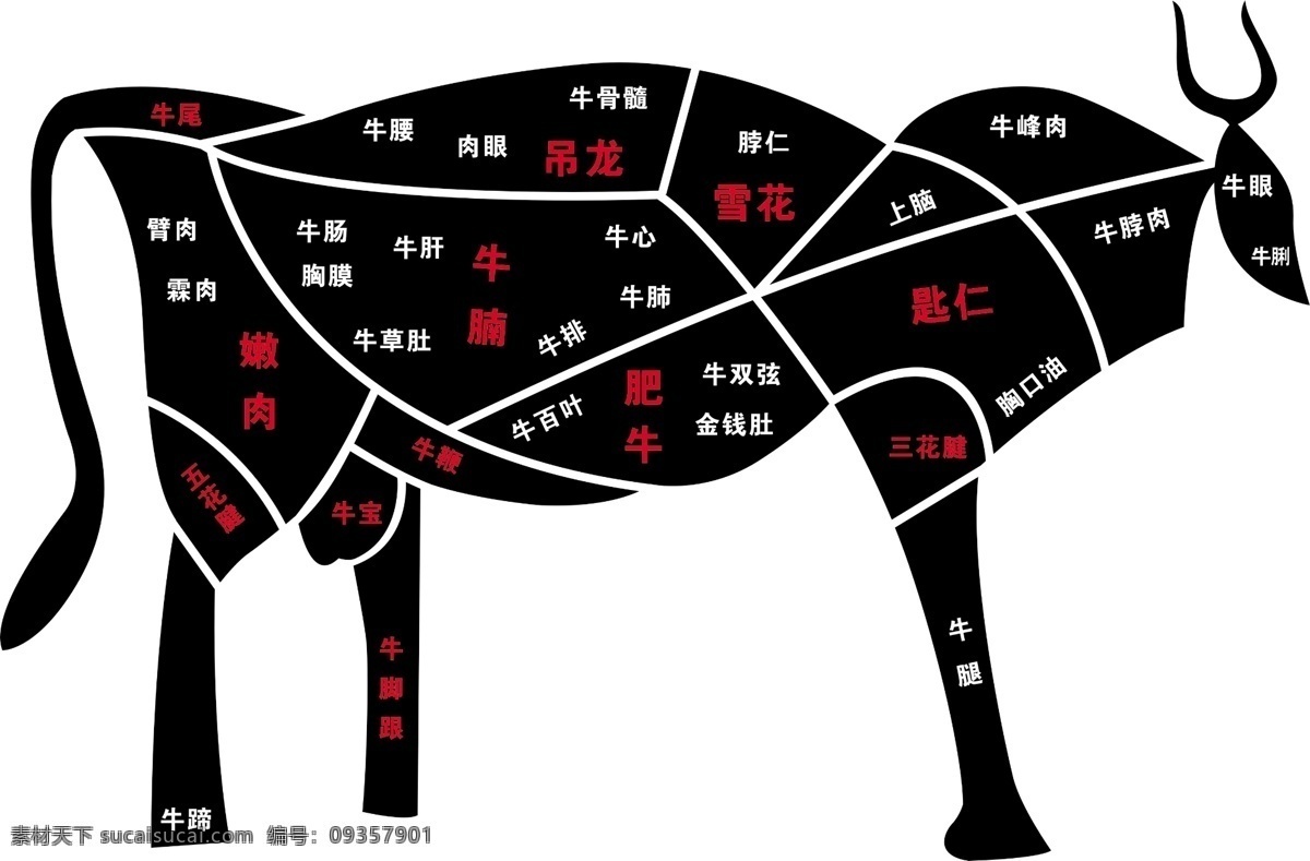 牛肉 分割 图 说明 图案 牛扒分割图 牛分布图 牛排切割图 牛肉分布图 牛肉分割图 牛肉取材部份