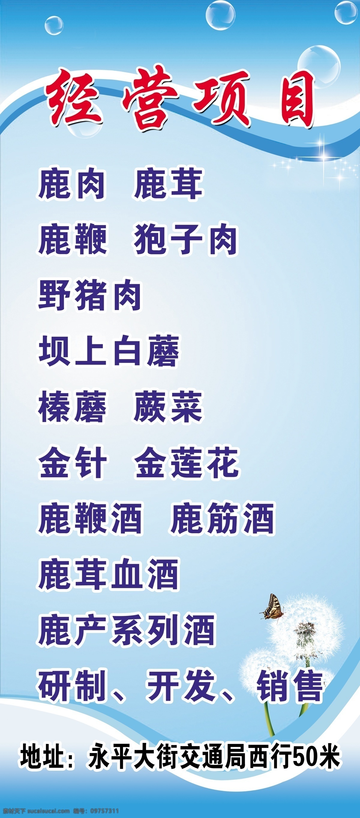 经营项目展架 经营项目 展架 x展架 蓝色背景 蒲公英 气泡 蝴蝶 室内广告 展板展牌 展板模板 广告设计模板 源文件