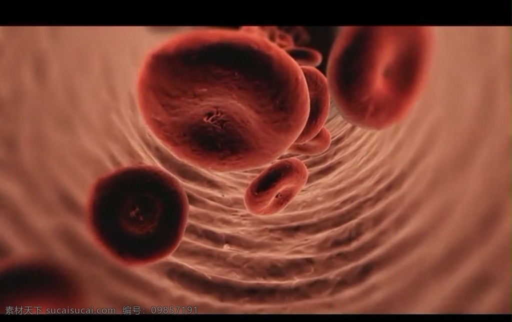 医疗视频素材 医学 人体 细胞 视频 组织 血红 背景 医院 视频素材 多媒体设计 源文件 mov