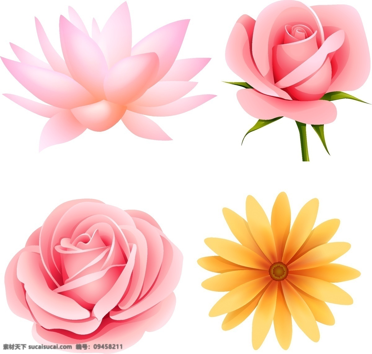 漂亮 花朵 矢量图 粉红色 荷花 花卉 玫瑰花 素材图片 小花朵 其他矢量图