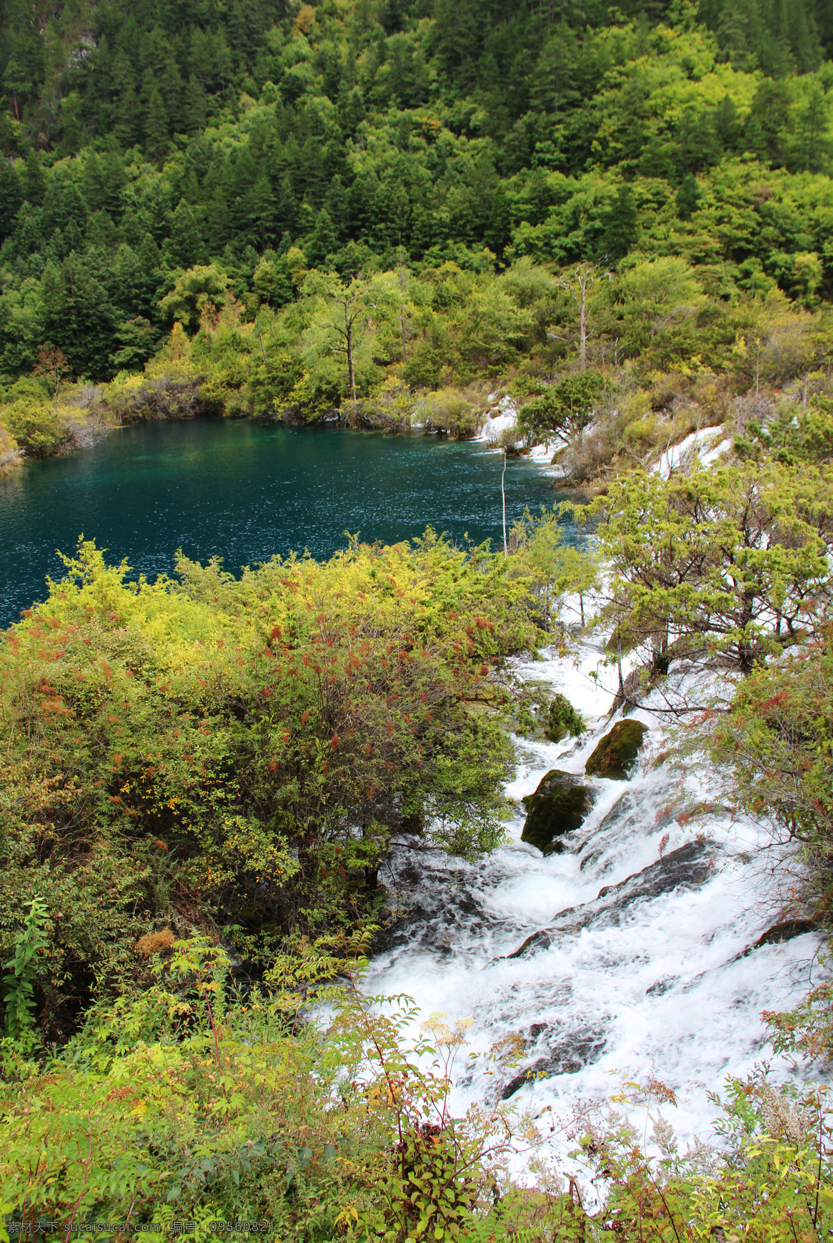 九寨沟 风景名胜 九寨沟风景 风景区 世界水景之王 碳酸盐 堰 塞地 貌 翠海 高山湖泊 叠海 彩林 雪山 藏情 世界自然遗产 国家森林公园 山水风景 人间仙境 自然景观