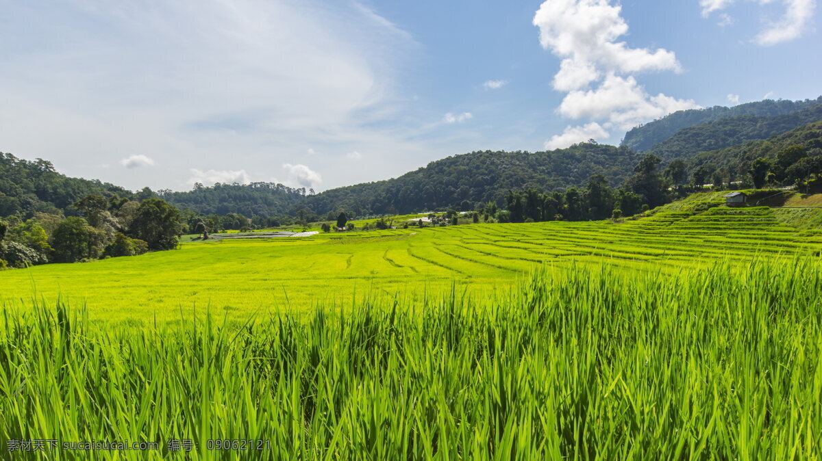 白云草地 蓝天白云 湖泊 草原牧场 山川美景 草原风光 绿草地 风光 蓝天 碧水 草原 草地 山水风光 国内旅游 旅游风光 旅游景点 雪景 旅游摄影 公园花坛 摄影风光 自然保护区 高原风光 文化自然 风光秀丽 美艳绝伦 白云 远山 绿树 森林 云朵 天空 彩云 自然景色 生物世界 树木树叶 自然景观 自然风景