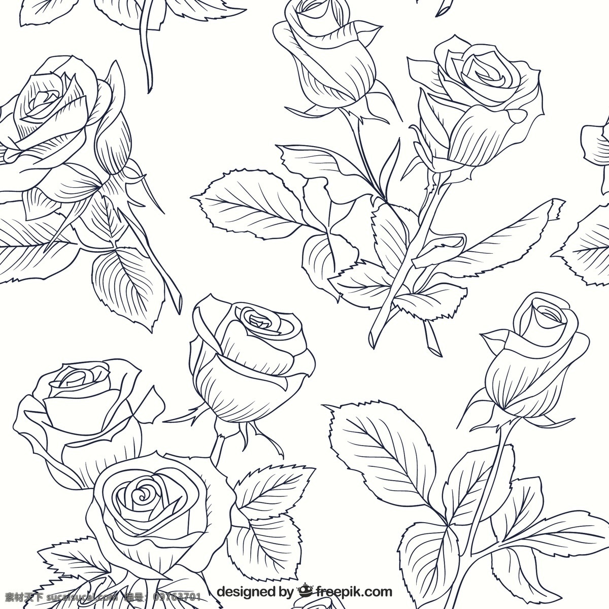 玫瑰 图案 草图 背景 花 手 自然 春天 手画 花背景 叶 花型 植物 画 春季背景 白色