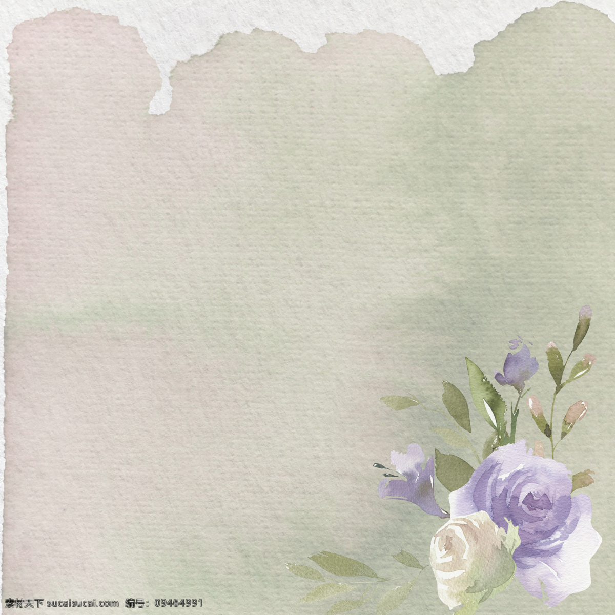 手绘 玫瑰花 牛皮纸 背景 白色 背景素材 淡雅 复古 水彩 渲染 叶子 紫色