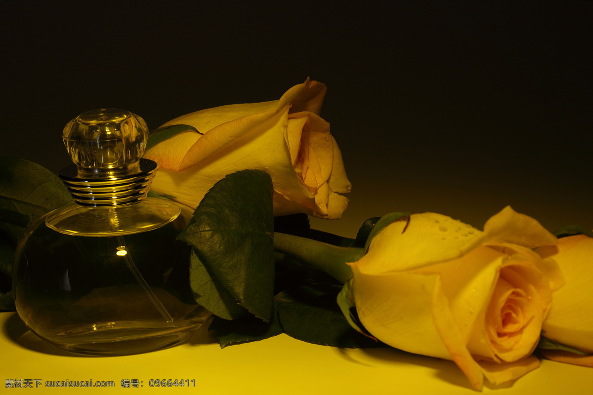 两 朵 玫瑰花 精油 花卉 花朵 香油 美容精油 美容用品 生活用品 生活百科