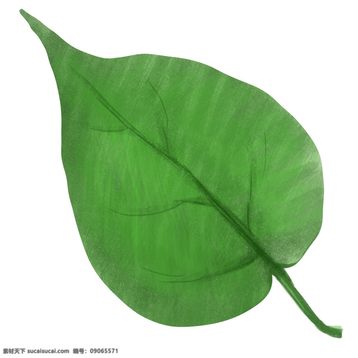 绿色 卡通 树叶 插画 绿叶 卡通绿叶插画 绿色的树叶 叶子 绿色的叶子 植物插画 卡通植物插画