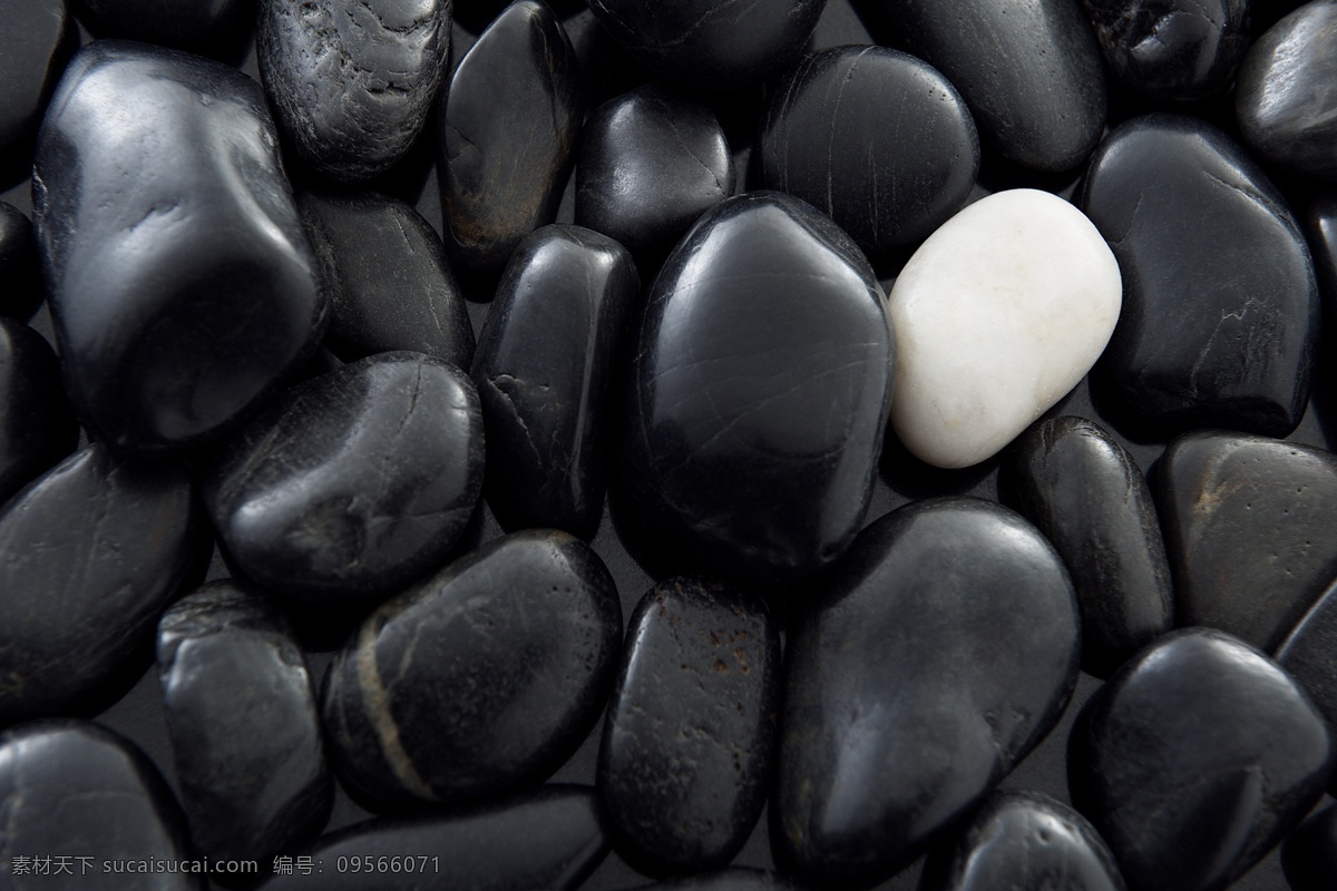 许多 黑色 石子 一个 白色 包围 卵石 地面 大小 孤独 察看 在上面 对比 岩石 数量 没人 相似之处 石头 黑色石子 白色石子 一片 高清图片 其他生物 生物世界