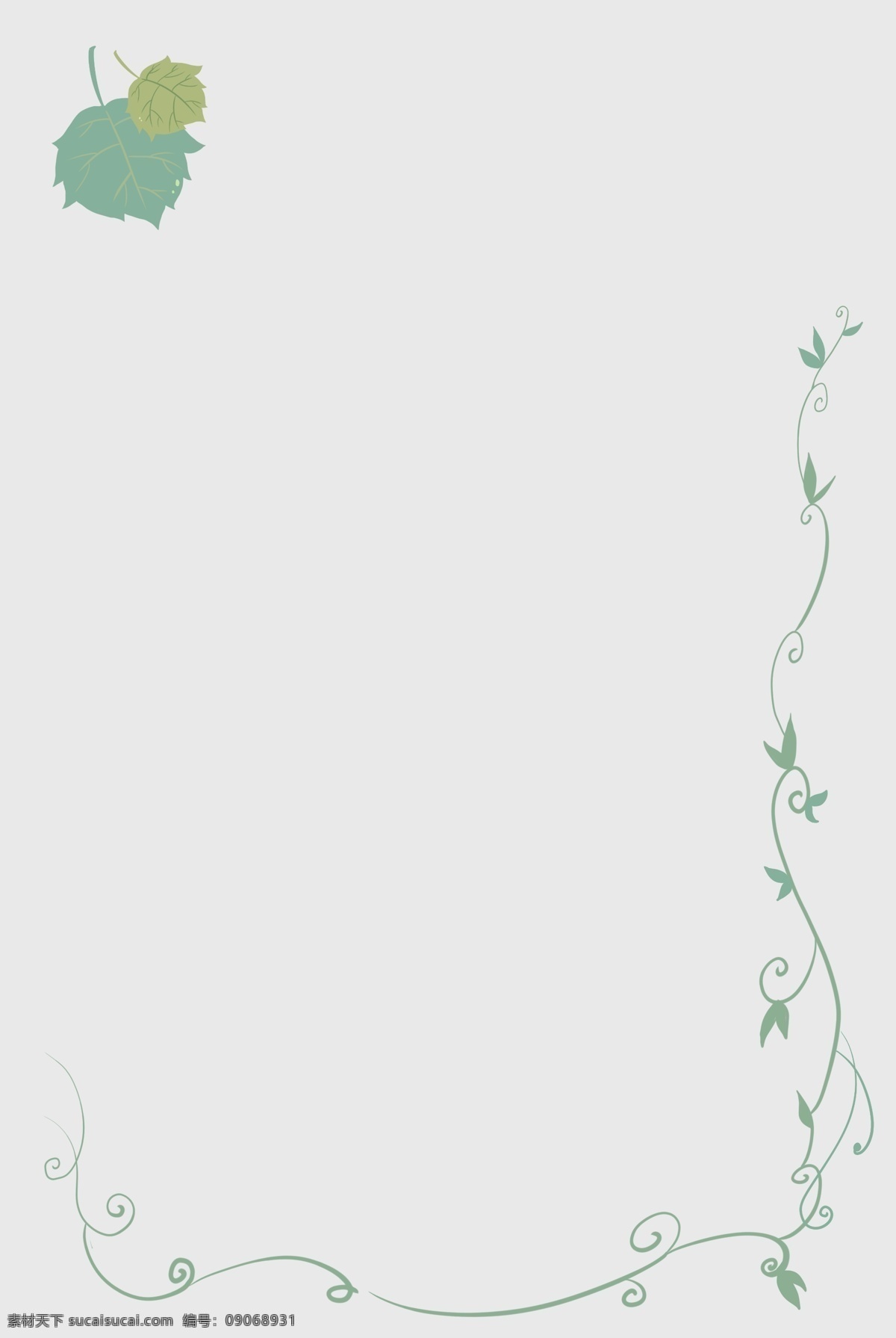 夏日 葡萄藤 叶片 边框 夏天 绿色 清新 海报招贴 涂鸦 插图 手账 叶脉 淡黄 淡绿