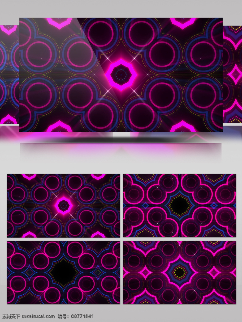 紫色 花朵 视频 圆环 组合 视频素材 动态视频素材