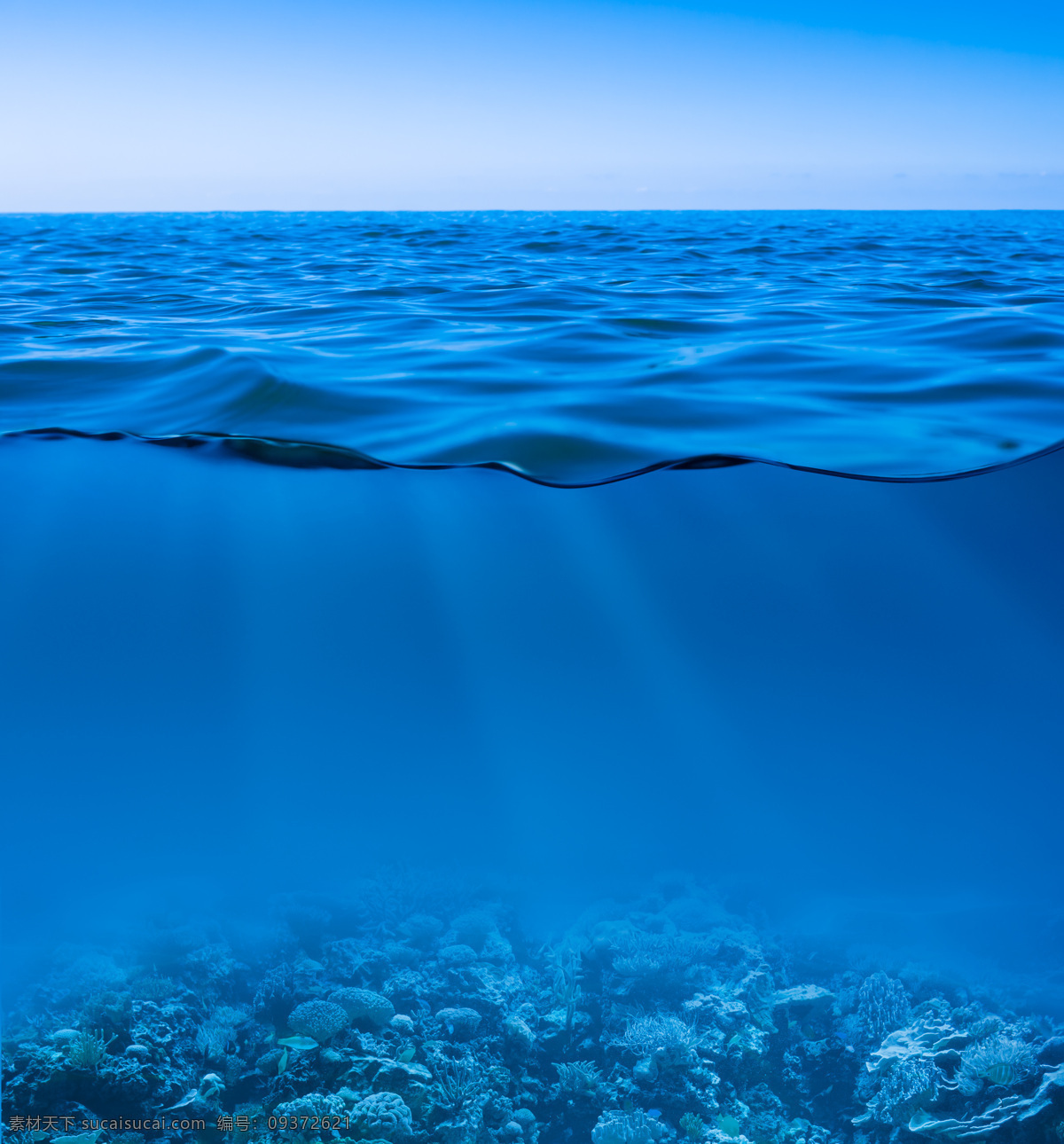 深海 海底 大海 蓝色 海面 蓝 自然景观 自然风景