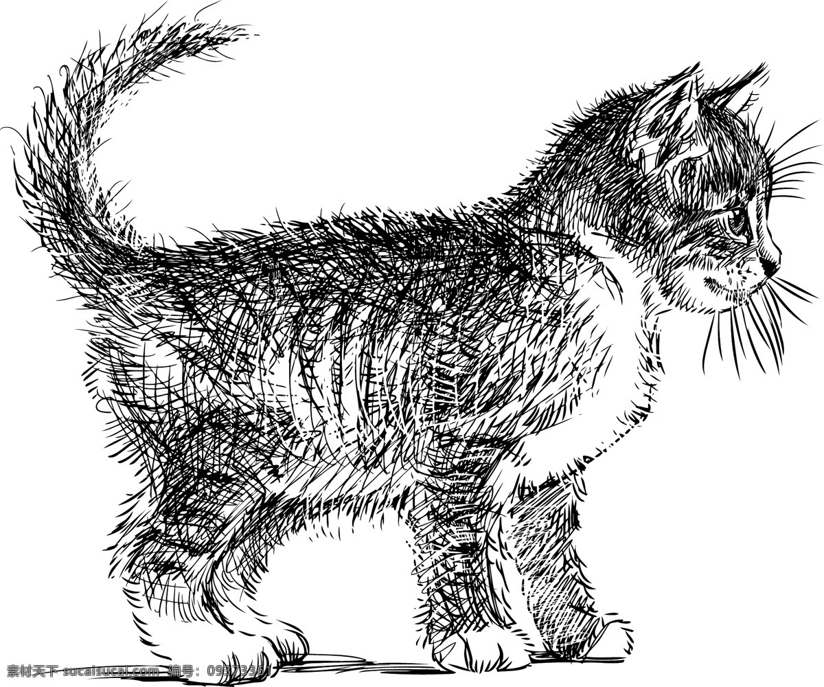 可爱的小猫 小猫 可爱 手绘 动物 白色