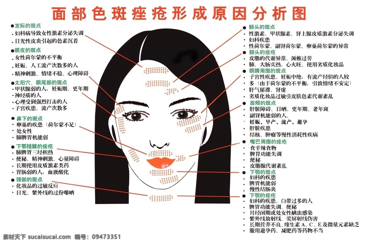 面部图 人体面部图 色斑分部图 美容图 分层 源文件