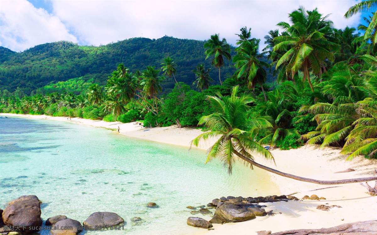 热带海岛风光 热带 海岛 沙滩 树木 石头 蓝天 白云 树林 海边 椰树 风光 自然 景观 风景 高清大图 背景大图 壁纸 背景壁纸 自然景观 自然风景