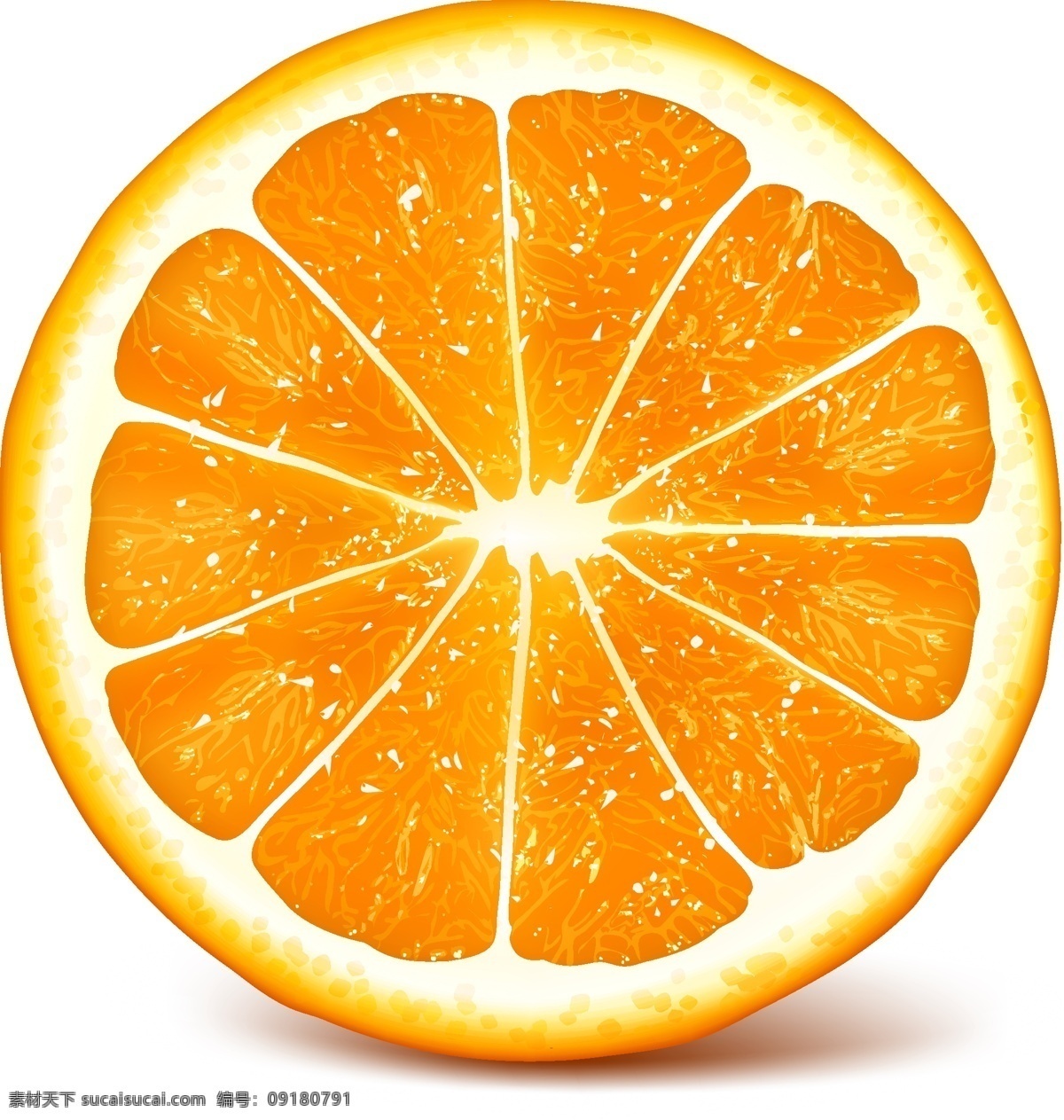 橙子切片 水果片 水果 超市水果 一堆水果 新鲜水果 橙子 柠檬 西柚 生物世界
