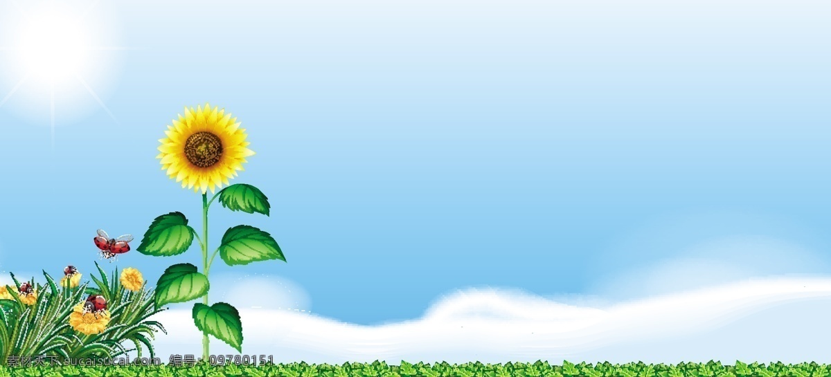 向日葵背景 花 热带 树叶 开花 园艺 美丽 华美 绿色 新鲜 装饰 植物 向日葵 草 背景 黄色 插图 图像 剪贴画 生物世界 花草